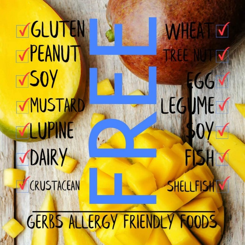 GERBS 말린 망고 큐브, 32온스 백, 무황, 방부제, 상위 14개 식품 알레르기 프리 : 식료품 및 미식가 식품