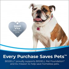 Bissell 3624 Spot Clean Professional 휴대용 카펫 클리너 - 코딩, 블랙: 홈 & 키친