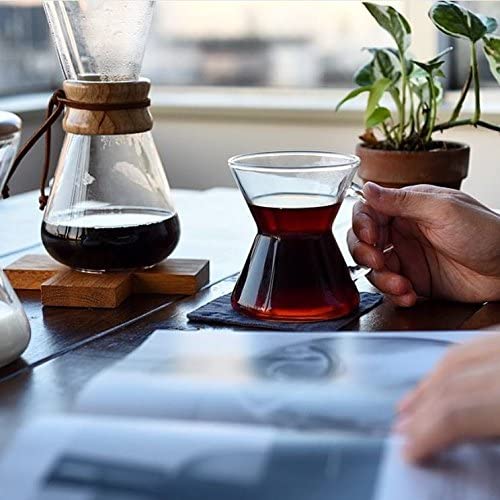 CHEMEX (케멧 쿠스) 필터 6 컵 용 FS-100