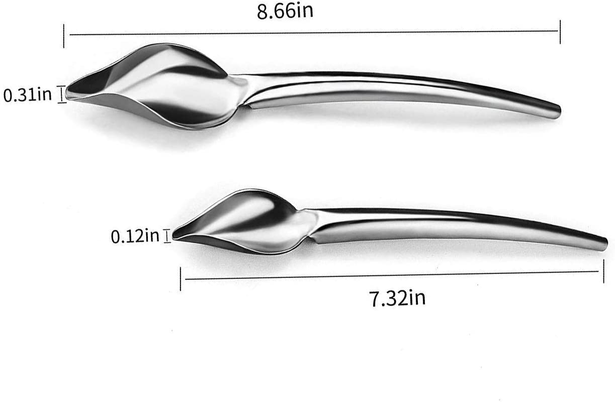 팸슨 데코 스푼 다용도 정밀 셰프 접시 장식용 요리 드로잉 스푼, 2인 세트
