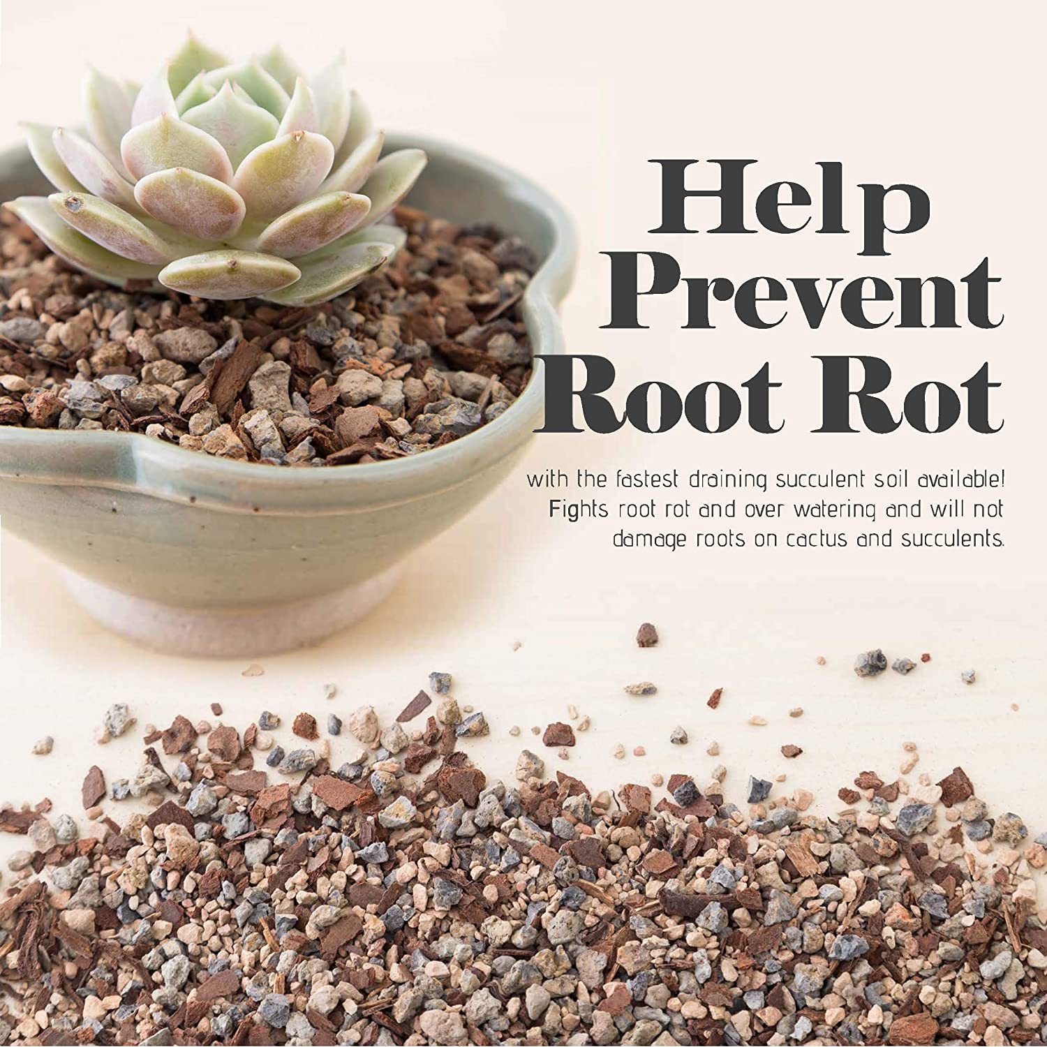 Bonsai Jack Succulent and Cactus Soil-Jacks Gritty Mix # 111-2 Quarts – 빠른 배수 – 뿌리 썩음 방지 – 최적화 된 pH