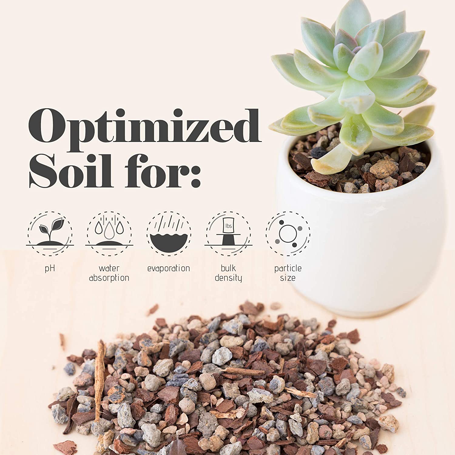 Bonsai Jack Succulent and Cactus Soil-Jacks Gritty Mix # 111-2 Quarts – 빠른 배수 – 뿌리 썩음 방지 – 최적화 된 pH