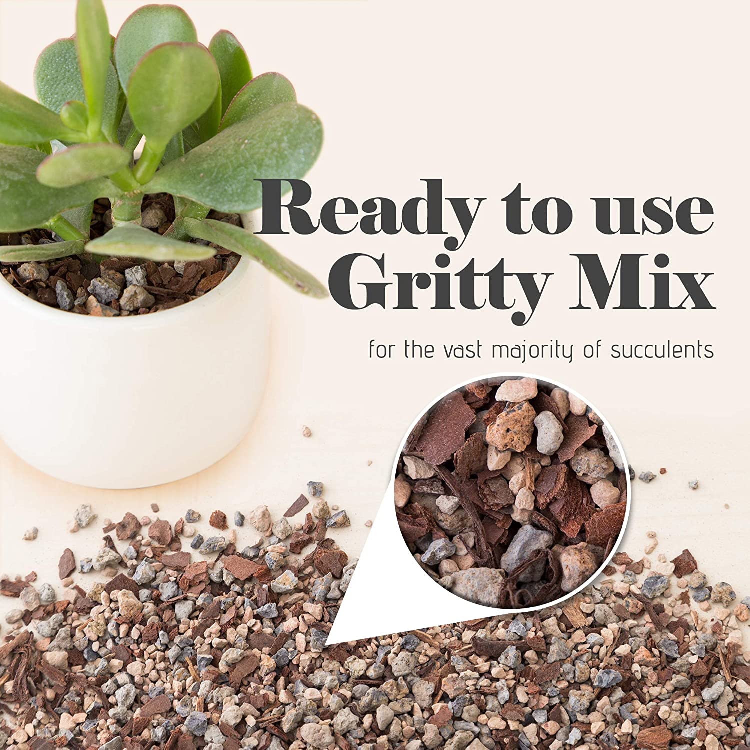 Bonsai Jack Succulent and Cactus Soil-Jacks Gritty Mix # 111-2 Quarts – 빠른 배수 – 뿌리 썩음 방지 – 최적화 된 pH