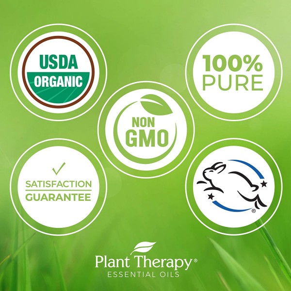 Plant Therapy 유기농 오레가노 에센셜 오일 100% 순수, USDA 인증 유기농, 원액, 천연 아로마테라피, 치료 등급 10mL(1/3oz)