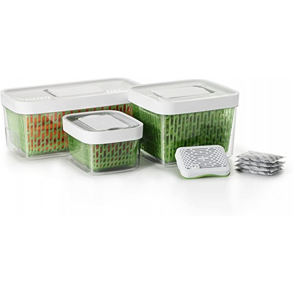 OXO GreenSaver Produce Keeper - 대형 - 녹색