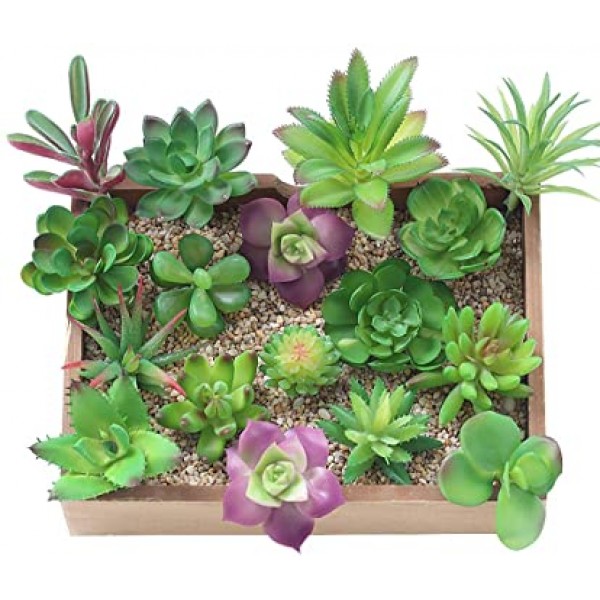 Kuuqa 16 pcs 혼합 인공 즙이 많은 꽃 식물 unpotted 장식 줄기 가짜 succulents 식물 홈 장식에 대 한 대량 모듬된 선택 실내 벽 정원 diy 장식