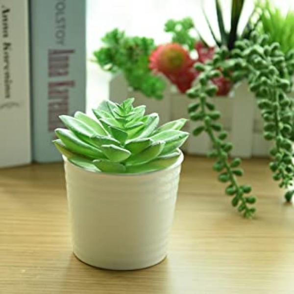 Kuuqa 16 pcs 혼합 인공 즙이 많은 꽃 식물 unpotted 장식 줄기 가짜 succulents 식물 홈 장식에 대 한 대량 모듬된 선택 실내 벽 정원 diy 장식