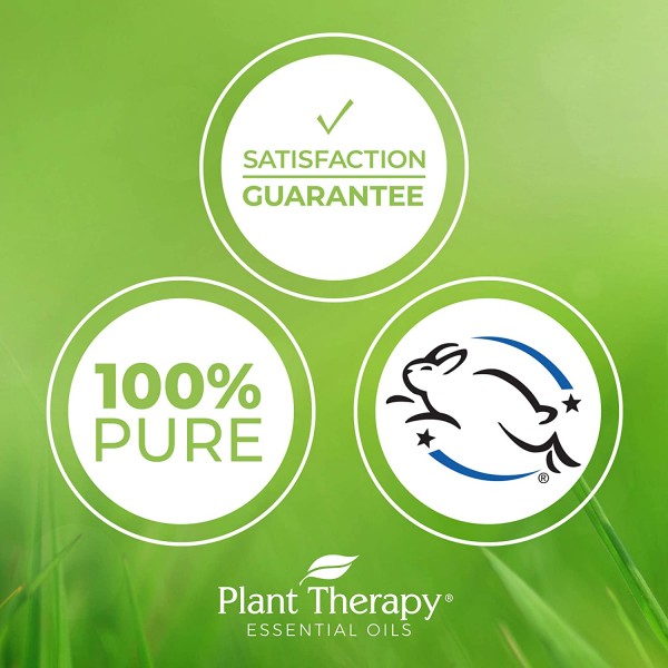 Plant Therapy 오레가노 에센셜 오일 100% 순수, 원액, 천연 아로마테라피, 치료 등급 30mL(1oz)