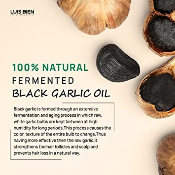 Luis Bien Black Garlic Oil – 모발 성장을 위한 50ml 발효 마늘 오일 – Premium Potent Formula – 재생 및 영양 공급 – 재생 촉진 및 더 건강한 두피 – 간편한 적용