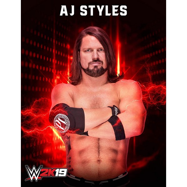 WWE 2K19 (PS4)