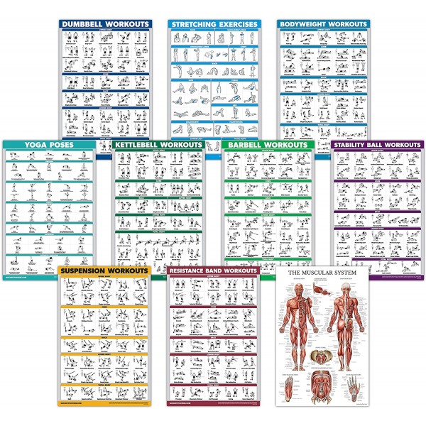 QuickFit 10 팩 - 운동 운동 포스터 세트 - 덤벨, 서스펜션, 케틀벨, 저항 밴드, 스트레칭, 체중, 바벨, 요가 포즈, 운동 공, 근육계 차트 - (18\