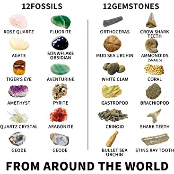 JOYIN 눈 보호 기능이 있는 화석 및 보석 발굴 키트, 실제 보석 12개, 실제 화석 12개, 공룡 장난감, 지리 교육 장난감, 광물학 및 지질학 애호가를 위한 STEM 과학 키트