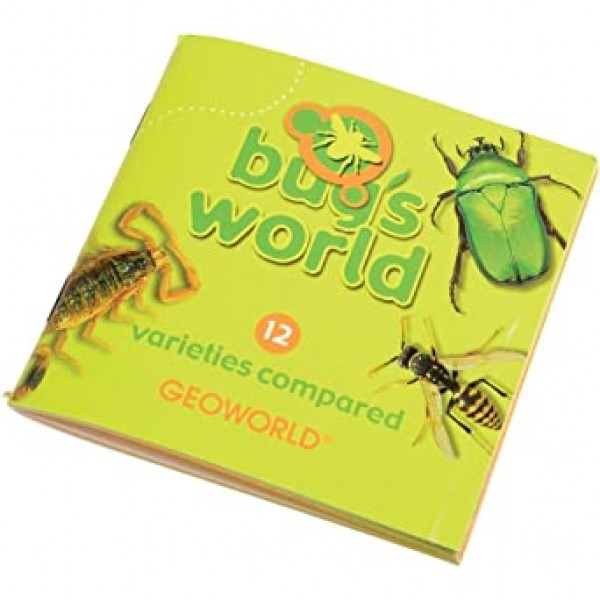 건설적인 장난감 Geoworld Bugs World Collection, 12개의 실제 곤충, 과학 교육 장난감