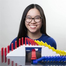 H5 Domino Creations 100-Piece Set by Lily Hevesh, 5세 이상 성인 및 어린이를 위한 가족 게임