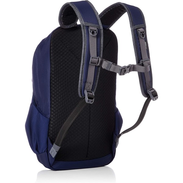 Pacsafe unisex-adult Venturesafe 15l G3 백팩 백 M Lakeside Blue