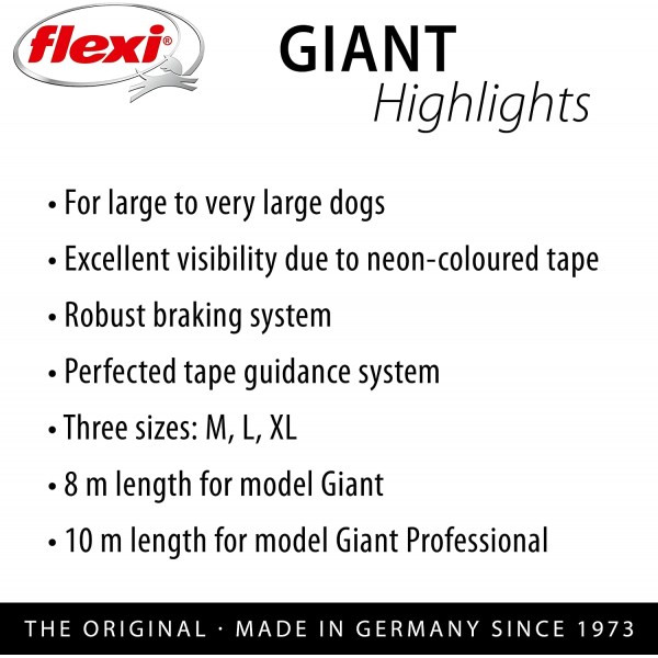 flexi Giant Professional L Tape 10m 블랙/네온 옐로우